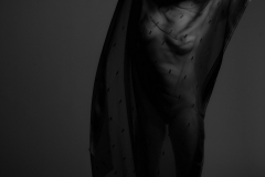 IMG_1137-Edit-2